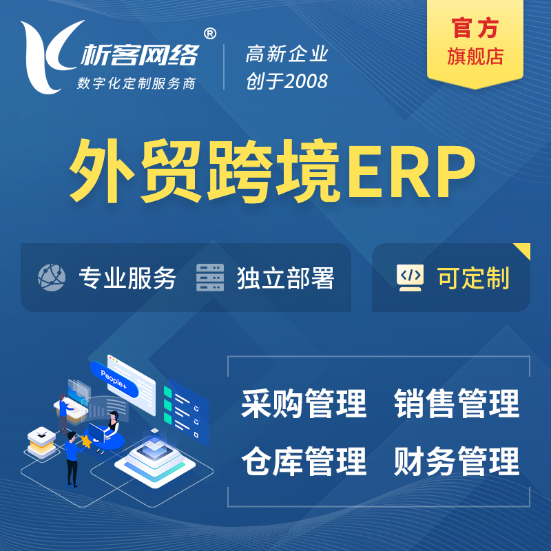 嘉峪关外贸跨境ERP软件生产海外仓ERP管理系统