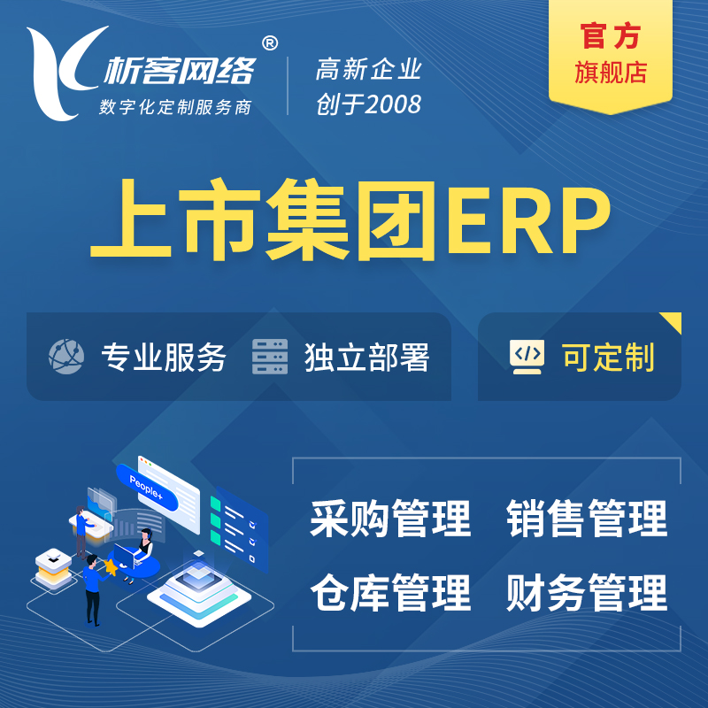 嘉峪关上市集团ERP软件生产MES车间管理系统